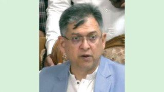 বিরোধী দলকে নিয়েই সংবিধান সংশোধন চাই: সালাহউদ্দিন আহমদ