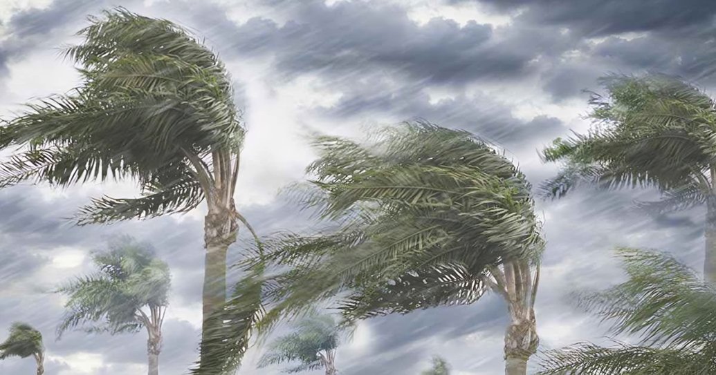ঝড়ের ঝুঁকিতে একাধিক জেলা, আবহাওয়া অফিসের সতর্কতা