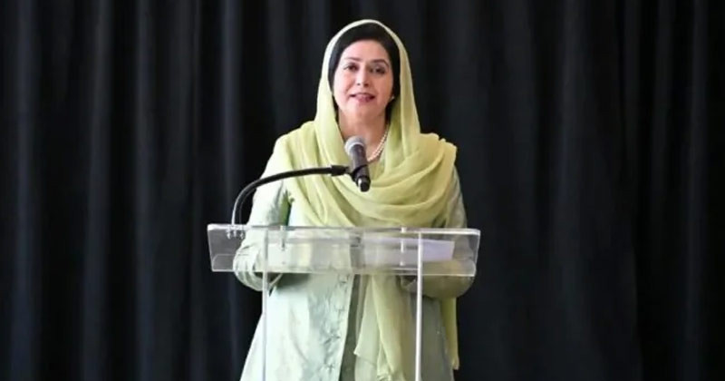 জাতিসংঘের নারী নেতৃত্ব প্ল্যাটফর্মে বক্তব্য দিলেন জুবাইদা রহমান