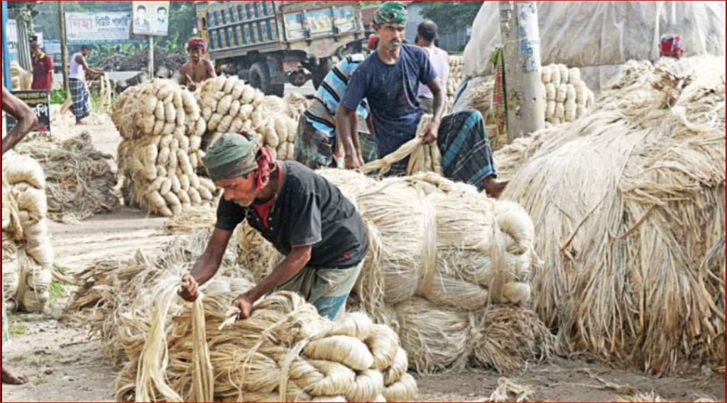 ভারতে পাট পাচার কেন বাড়ছে, ক্ষতি কার?